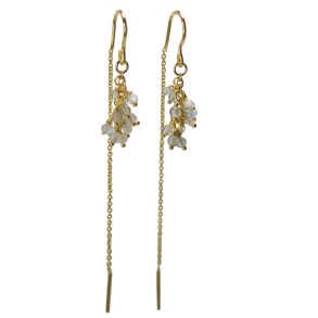 rekder - Daisy forgyldt